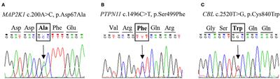 Noonan Syndrome in South Africa: Clinical and Molecular Profiles